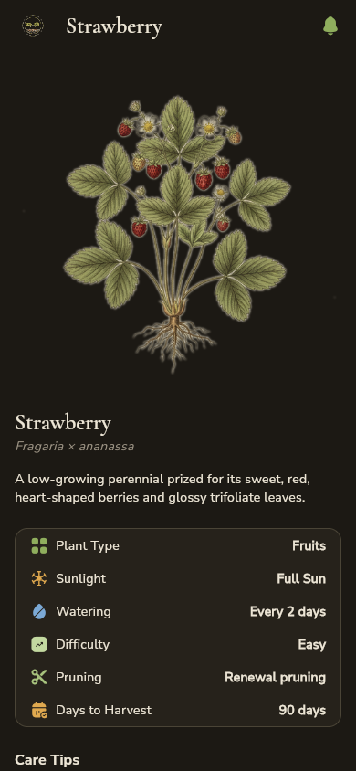 Strawberry details screen in dark mode